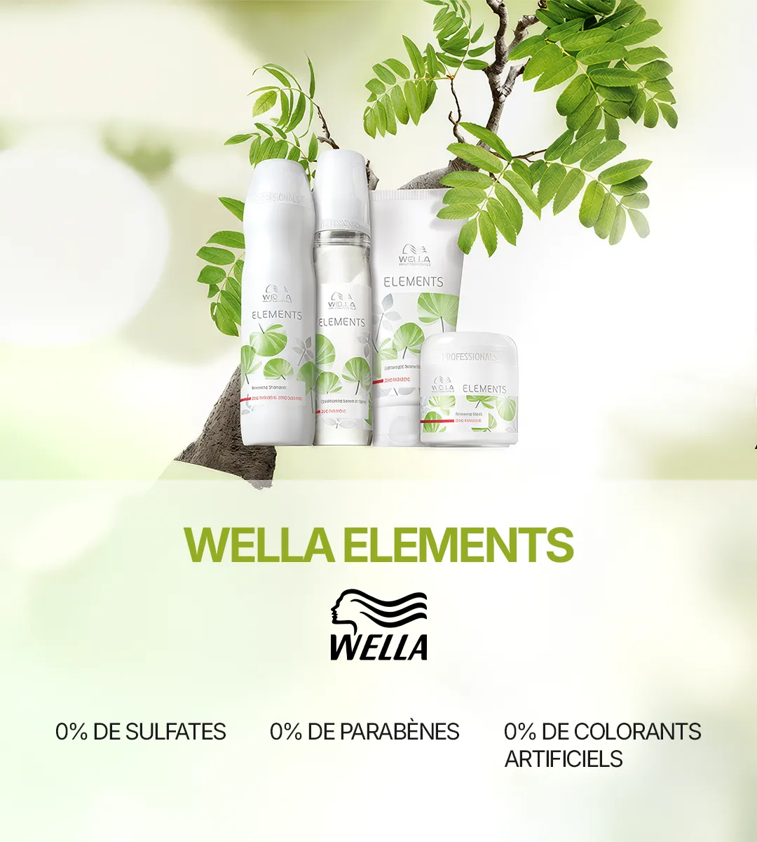 Coupevasion Coiffeur A Pessac 09